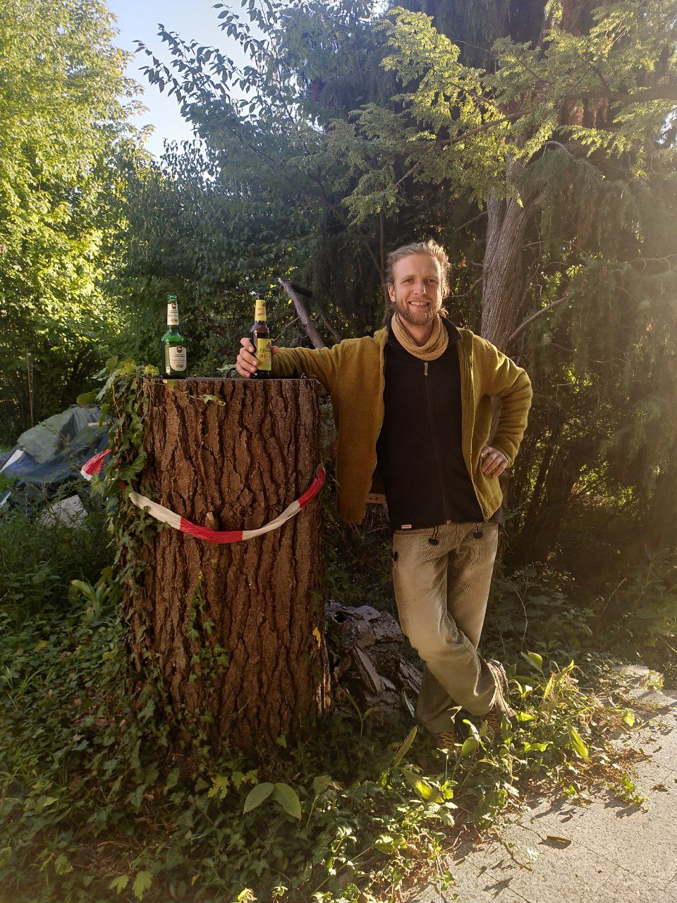 Baumpflege aus der Vogelperspektive - Kletternder Baumpfleger bei der Arbeit